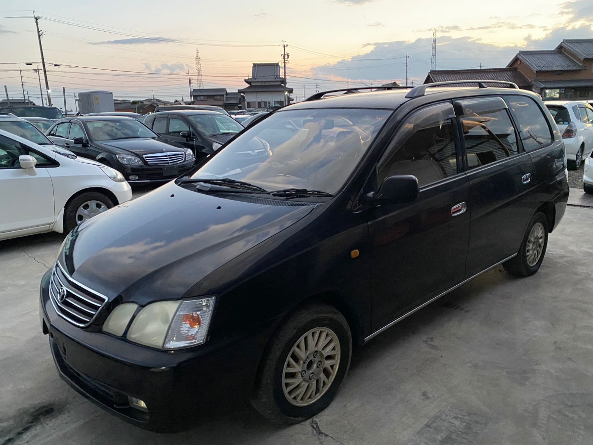молдинг на крышу - Toyota GAIA